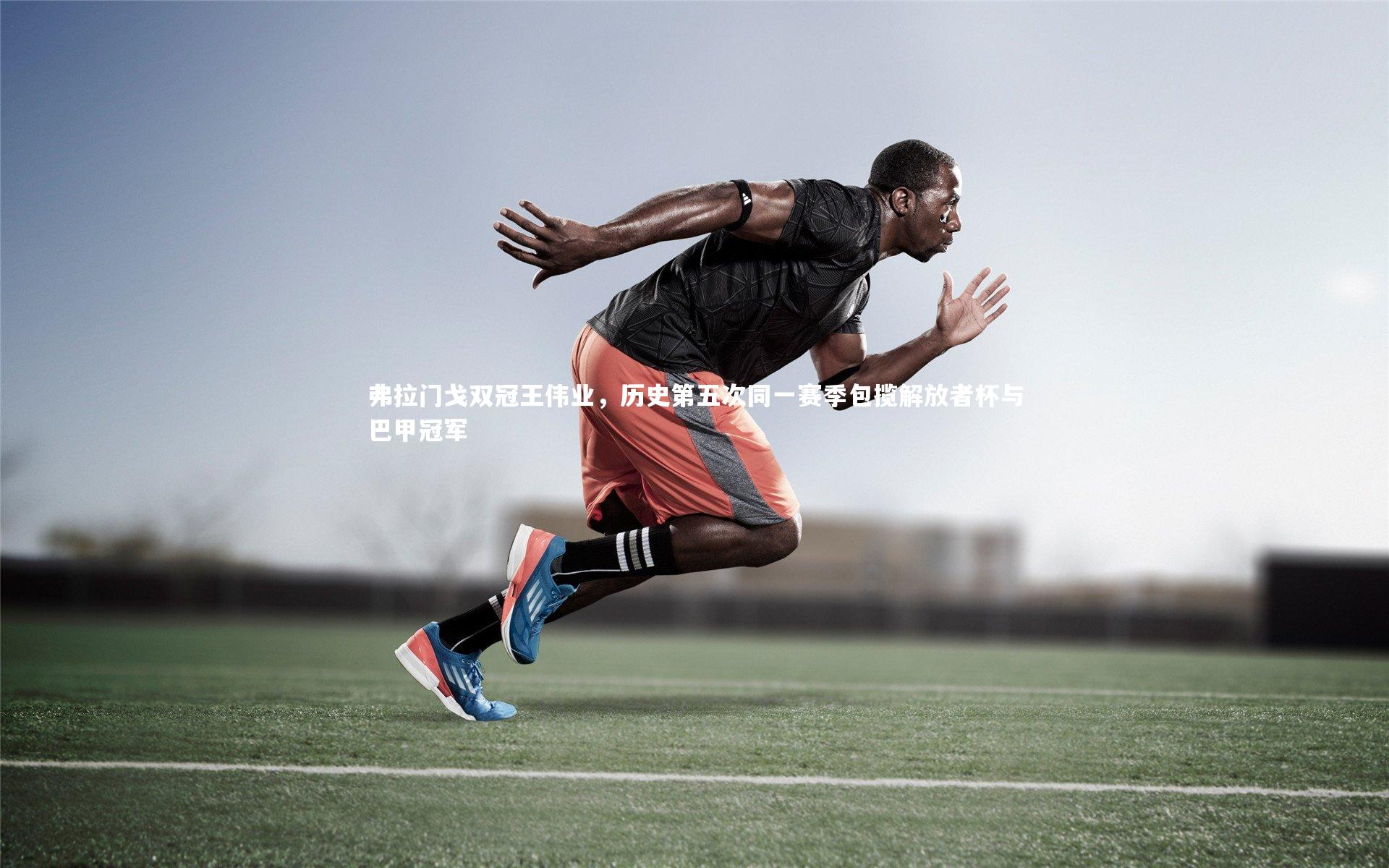 弗拉门戈双冠王伟业,历史第五次同一赛季包揽解放者杯与巴甲冠军