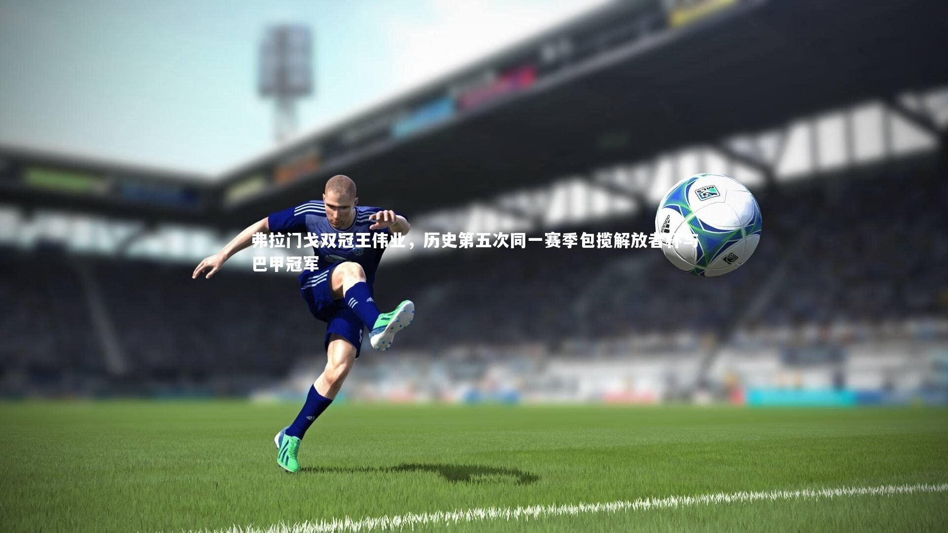 弗拉门戈双冠王伟业,历史第五次同一赛季包揽解放者杯与巴甲冠军